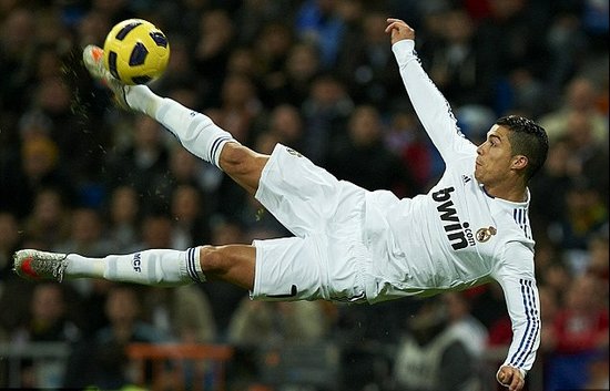 伦敦奥运马术双骄伴随爱马同日辞世 相互扶持逾二十载共谱辉煌传奇